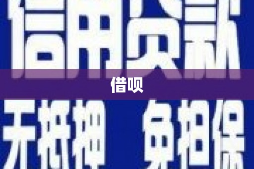 玛家借呗