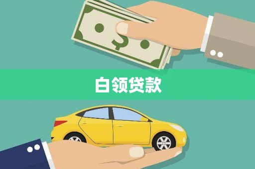 玛家白领贷款