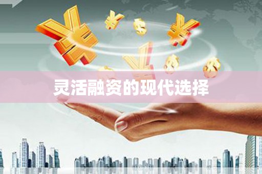 玛家灵活融资的现代选择