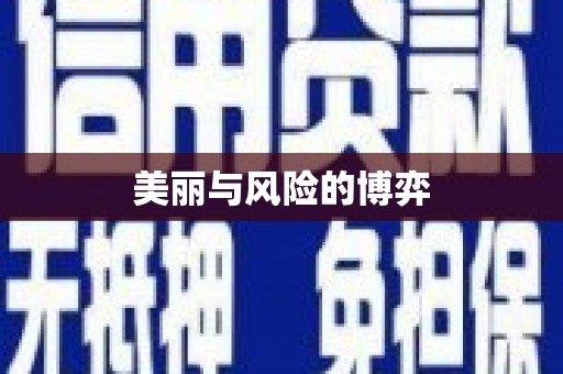 玛家美丽与风险的博弈