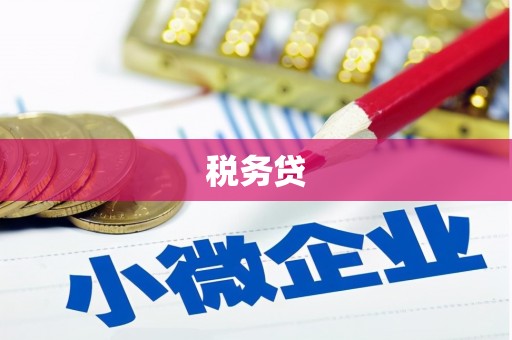玛家税务贷