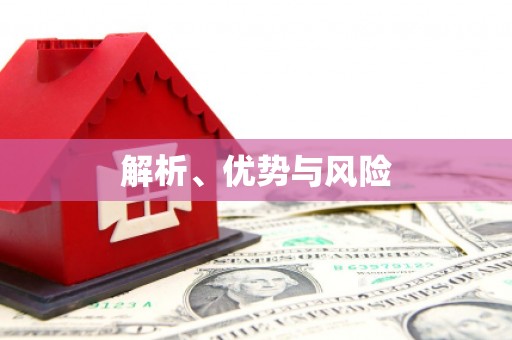 玛家解析、优势与风险