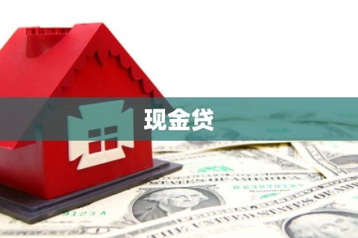 玛家现金贷