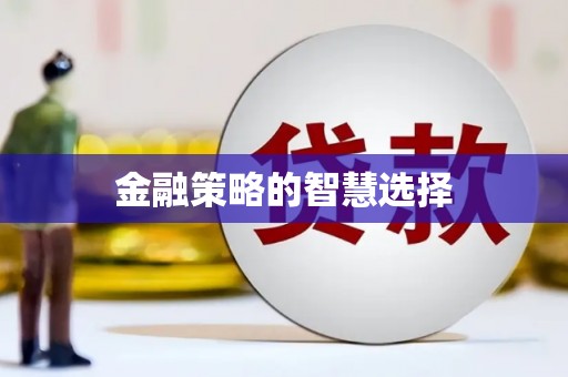 玛家金融策略的智慧选择