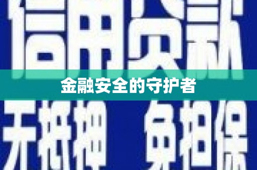 玛家金融安全的守护者