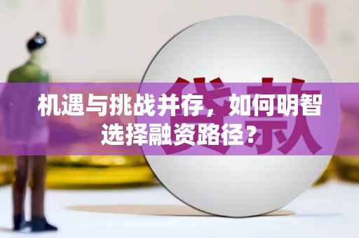 玛家机遇与挑战并存，如何明智选择融资路径？