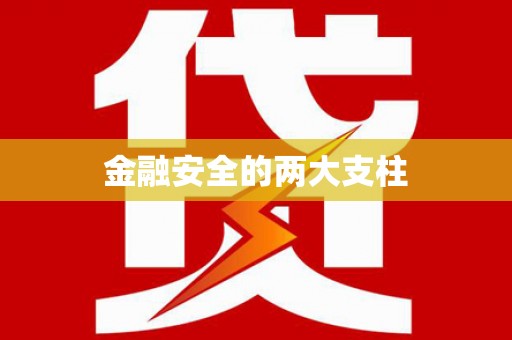玛家金融安全的两大支柱