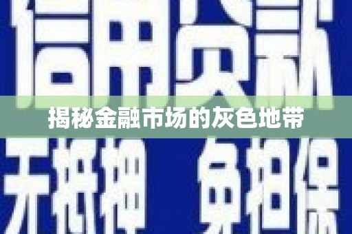 玛家揭秘金融市场的灰色地带