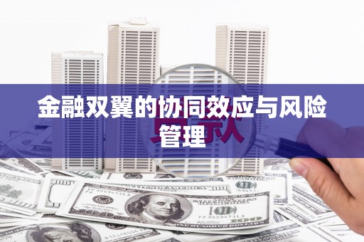 玛家金融双翼的协同效应与风险管理