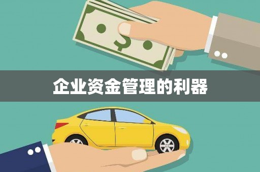 玛家企业资金管理的利器
