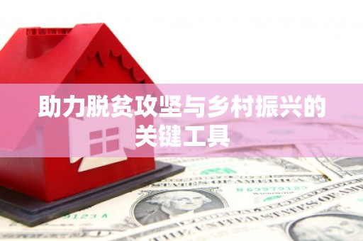 玛家助力脱贫攻坚与乡村振兴的关键工具