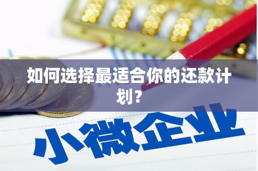 玛家如何选择最适合你的还款计划？