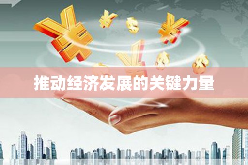玛家推动经济发展的关键力量