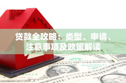 玛家贷款全攻略：类型、申请、注意事项及政策解读