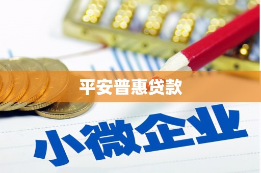 玛家平安普惠贷款
