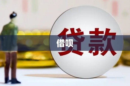 玛家借呗