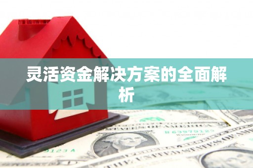 玛家灵活资金解决方案的全面解析