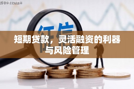 玛家短期贷款，灵活融资的利器与风险管理