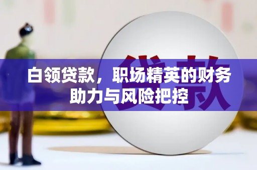 玛家白领贷款，职场精英的财务助力与风险把控