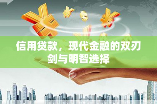 玛家信用贷款，现代金融的双刃剑与明智选择