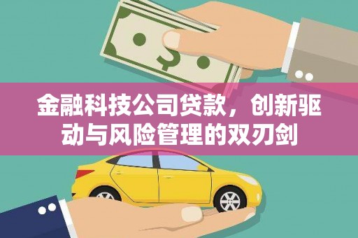玛家金融科技公司贷款，创新驱动与风险管理的双刃剑