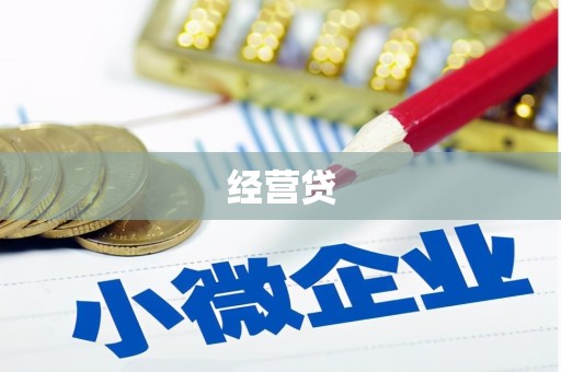 玛家经营贷