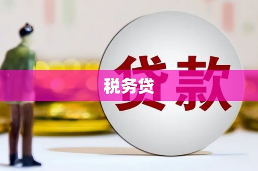 玛家税务贷